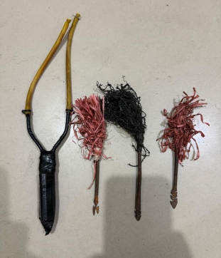 IMG-20241212-WA0036_copy_311x362