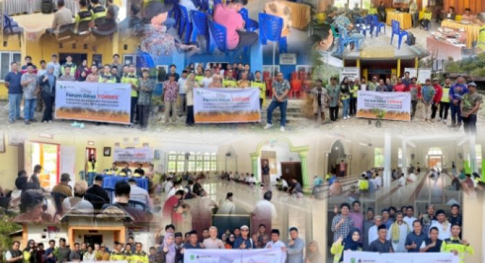 IMG-20251106-WA0056_copy_515x362